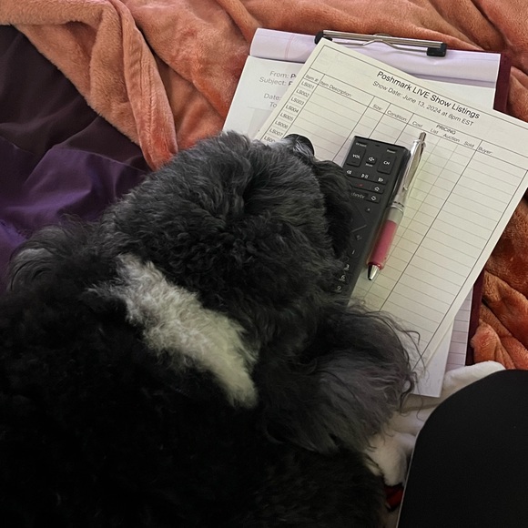 Meet your Posher, Melissa 💜 - Picture 14 of 15